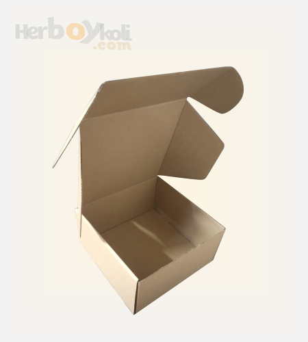 24x24x10 cm Mikro E Dalga Baskısız Kilitli Kutu